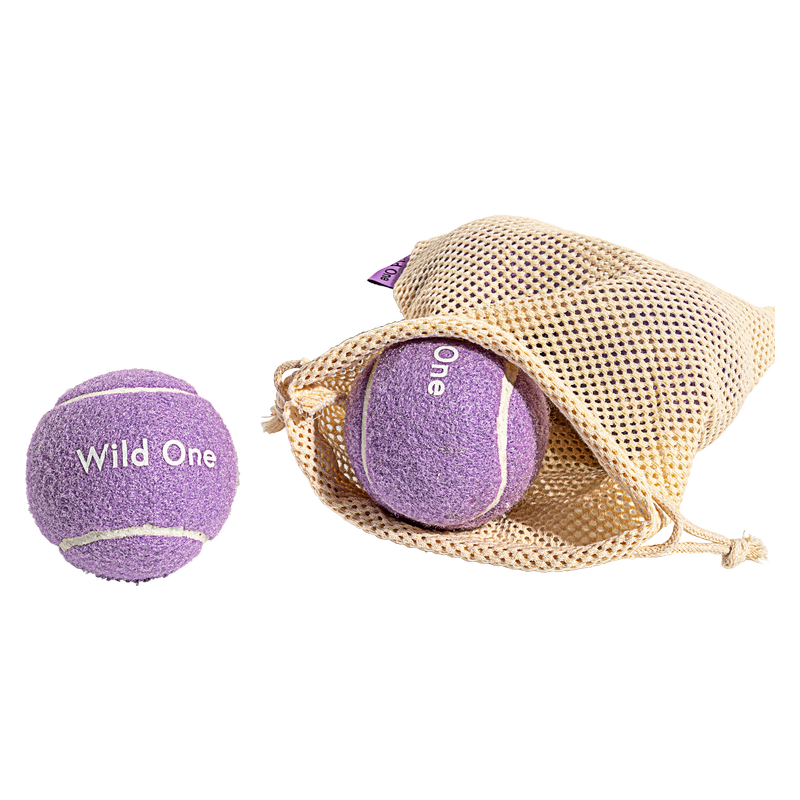Wild One Lilac Tennis Ball 4pk : Pets fast delivery by App or Online