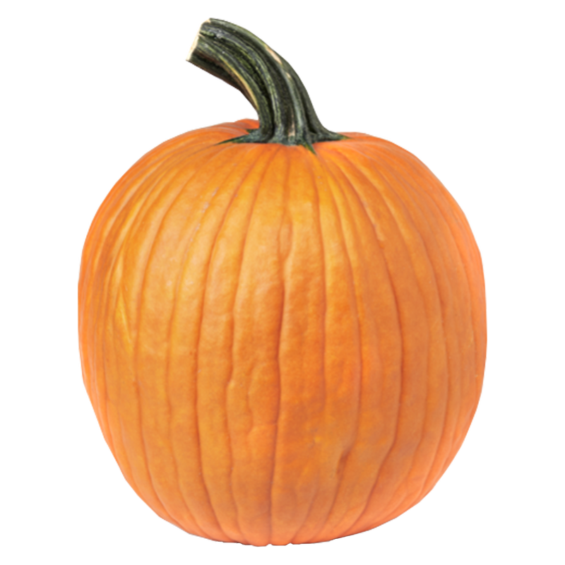 Organic Pumpkin 7'' 1ct