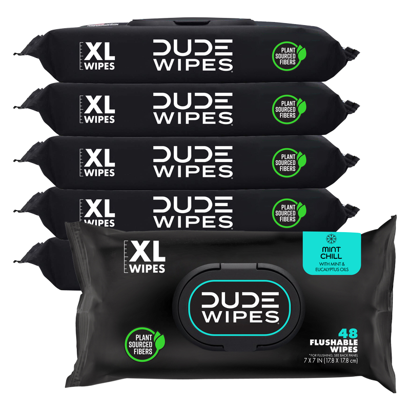 DUDE Wipes XL Flushable Wipes Dispenser Mint Chill with Mint, Eucalyptus, and Tea Tree Essential Oil 48ct 6 pack