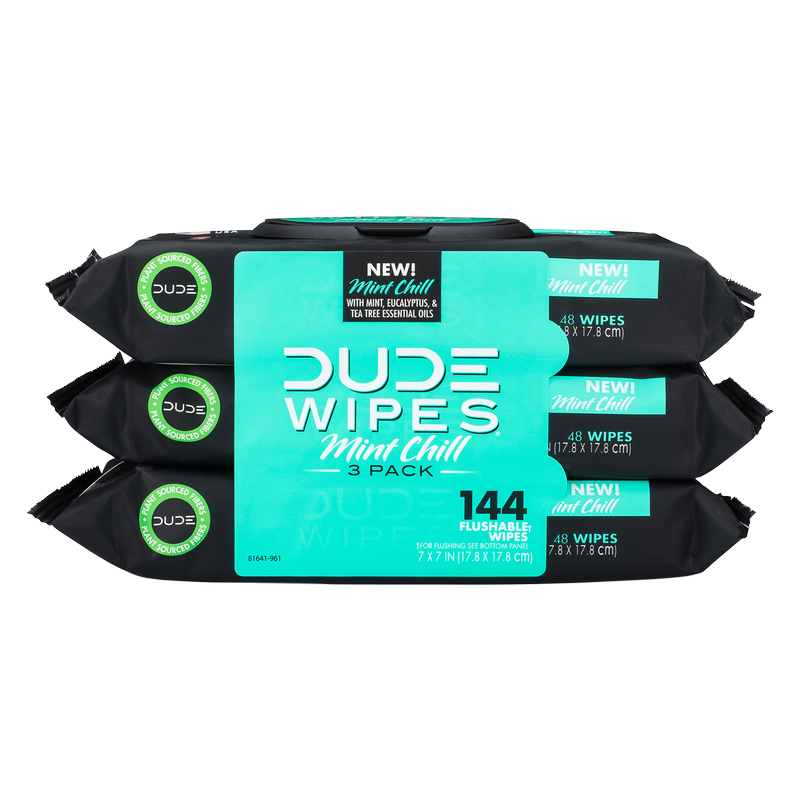 DUDE Wipes XL Flushable Wipes Dispenser Mint Chill with Mint, Eucalyptus, and Tea Tree Essential Oil 48ct 3 pack