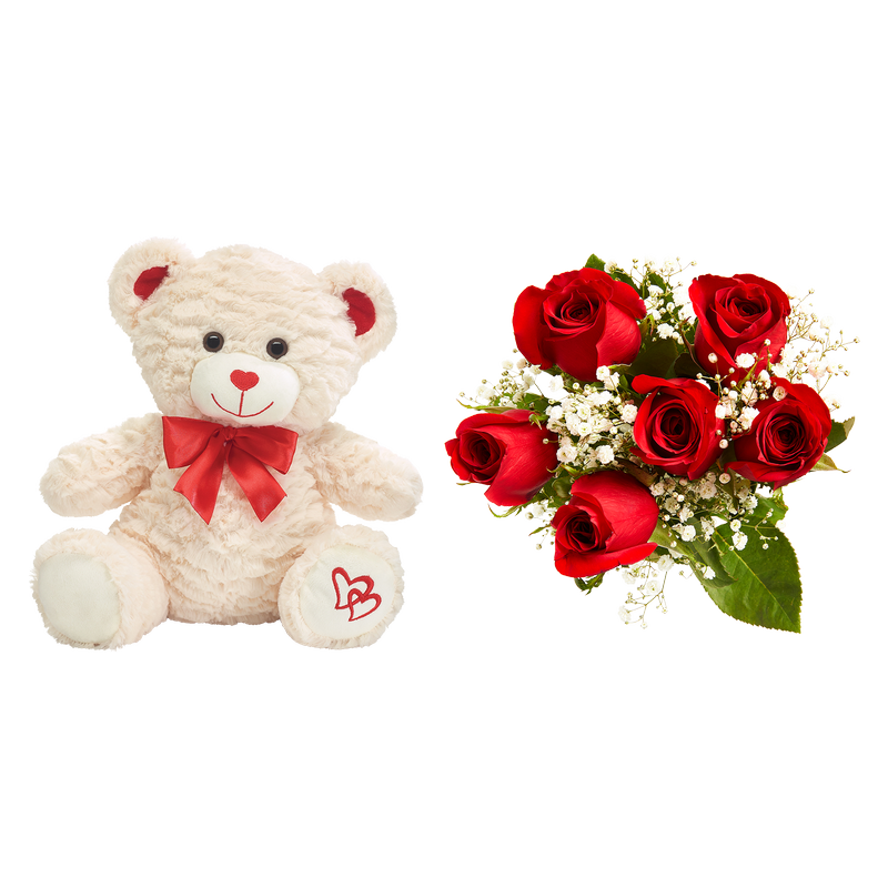 6ct Red Roses and Teddy Bear