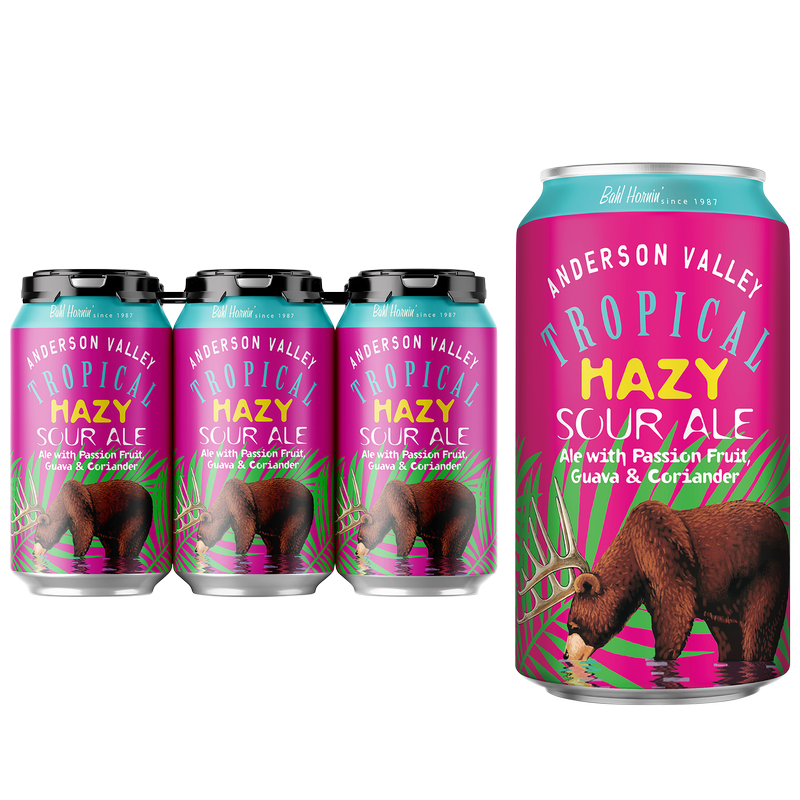 Anderson Valley Brewing Company Hazy Tropical Sour Ale 6pk 12oz Can 4.2% ABV