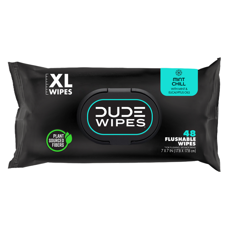 DUDE Wipes XL Flushable Wipes Dispenser Mint Chill with Mint, Eucalyptus, and Tea Tree Essential Oil 48ct 3 pack