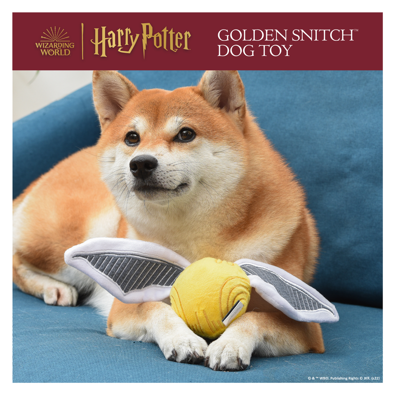 Harry Potter: Snitch Pet Squeaker Toy