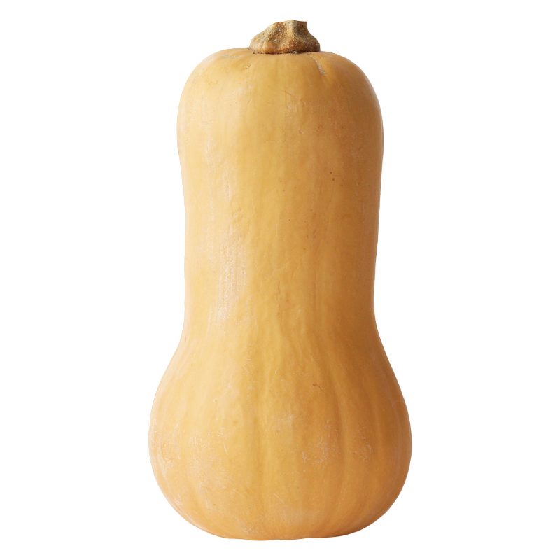 Butternut Squash, 1pcs