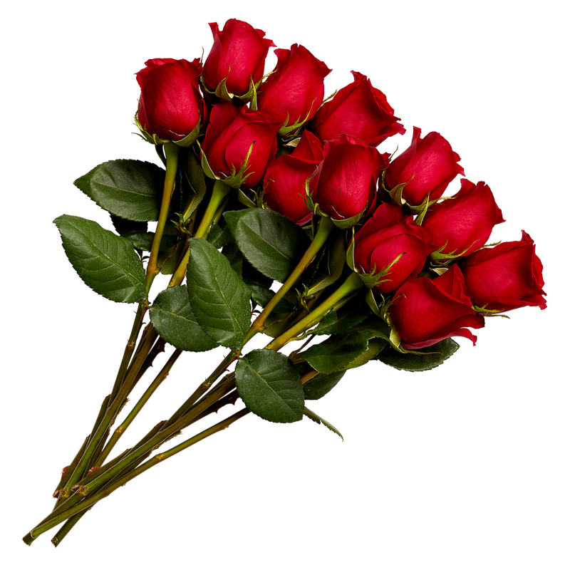 Valentine's Day Red Roses (12ct)