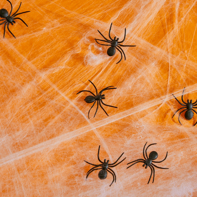 Morrisons Halloween Cobwebs With Spiders, 1pcs