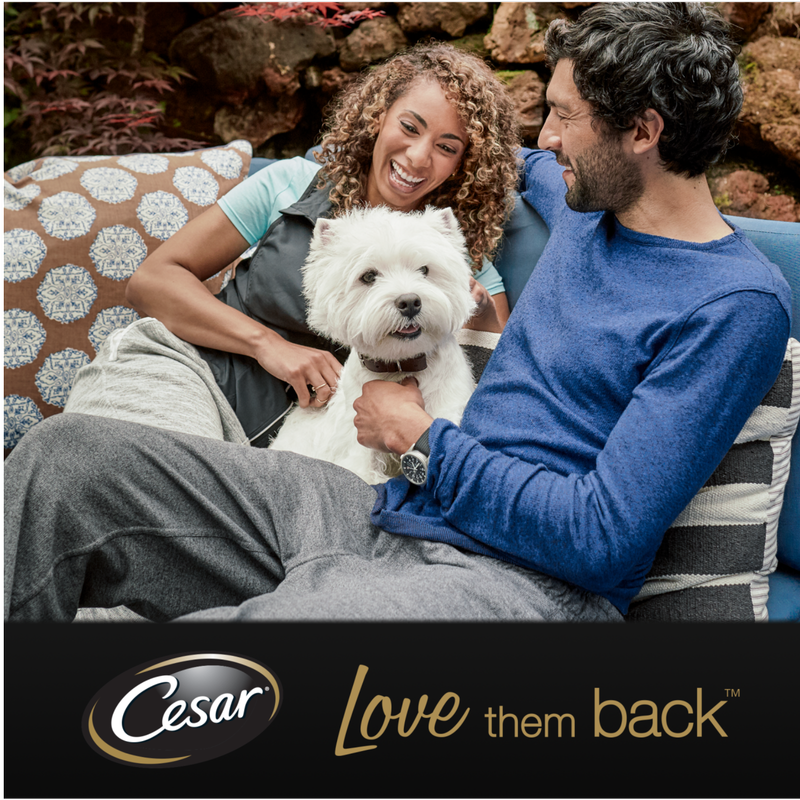 Cesar Classics Terrine Dog Food Trays Mixed in Loaf, 8 x 150g Pets