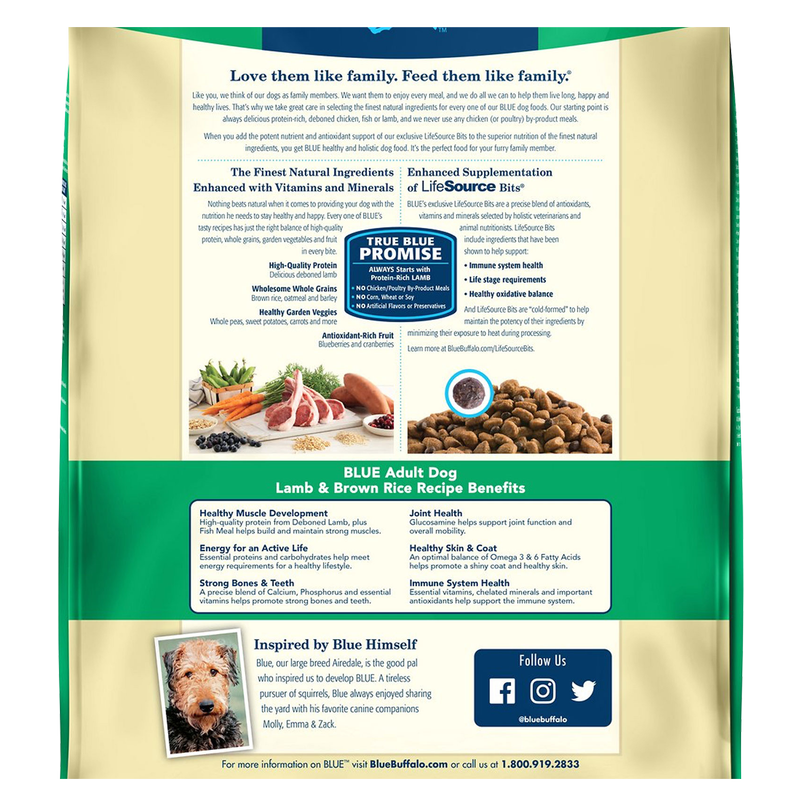 Blue Buffalo Adult Lamb & Brown Rice Dry Dog Food 6lb