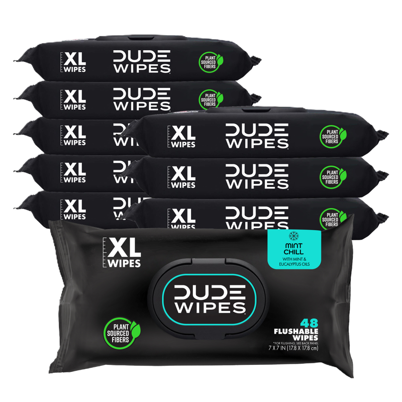 DUDE Wipes XL Flushable Wipes Dispenser Mint Chill with Mint, Eucalyptus, and Tea Tree Essential Oil 48ct 9 pack