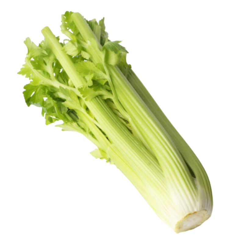 Celery, 1bunch
