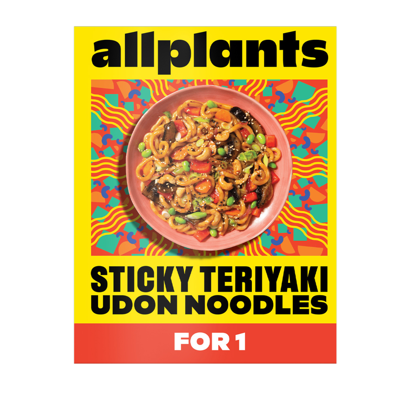 allplants Sticky Teriyaki Udon Noodles (For One), 365g