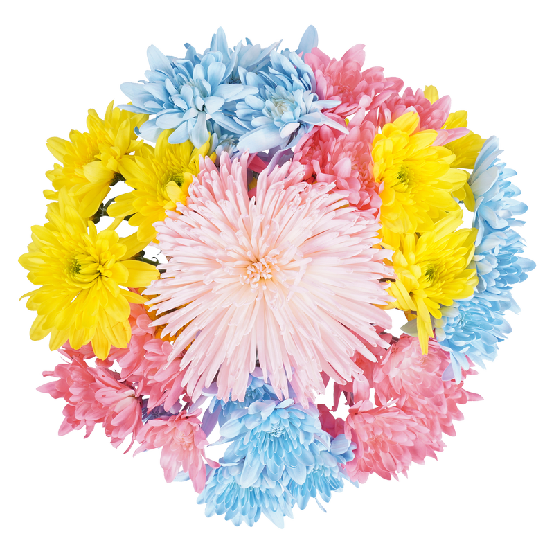 Spring Fling Flower Bouquet 9 Stem
