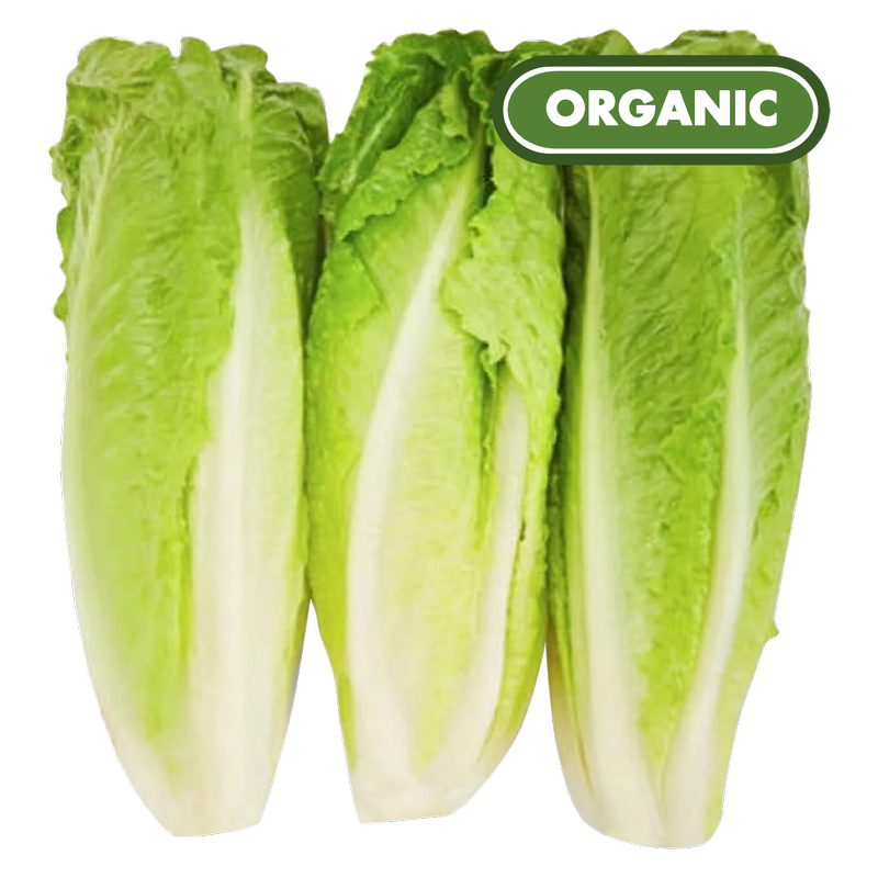 Organic Romaine Lettuce - 3ct