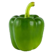 Green Pepper, 1pcs