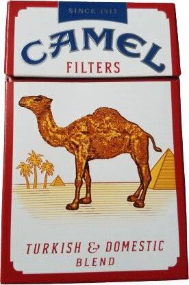 Camel Cigarettes 20ct Box 1pk