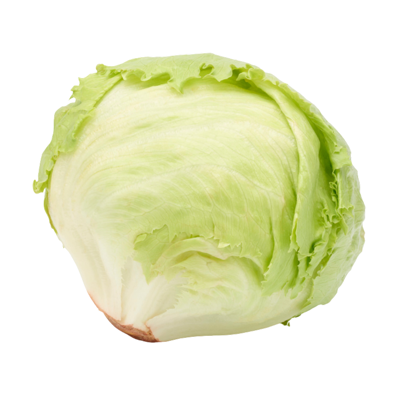 Iceberg Lettuce, 1pcs
