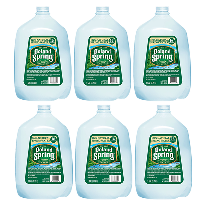 Niagara 1 gal. Purified Drinking Water (6-Pack) NDW1GP6PDRCH - The