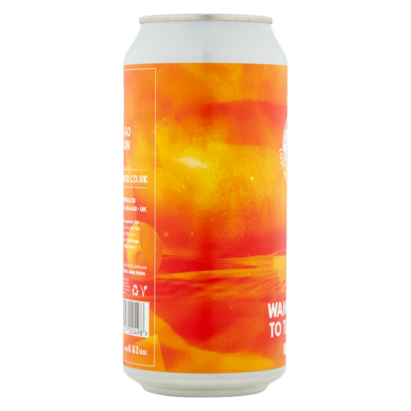 Lost & Grounded Wanna Go To The Sun Pale Ale, 440ml