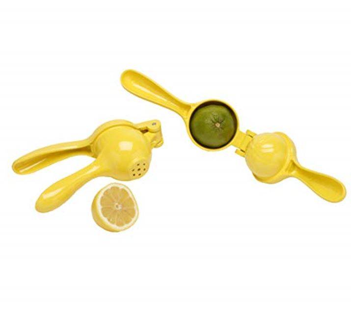 Citrus Press Juicer