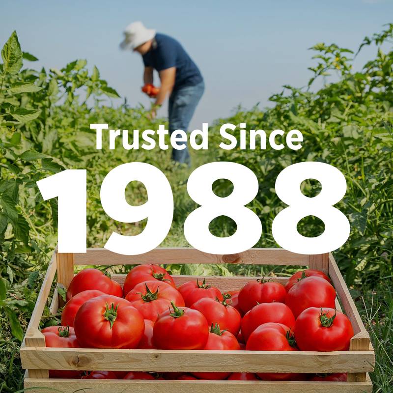 Hunt's Diced Tomatoes 28oz