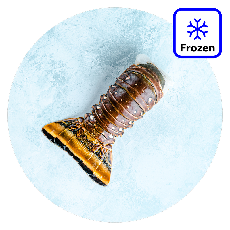 The Fish Society Caribbean Rock Lobster Tail, 130g