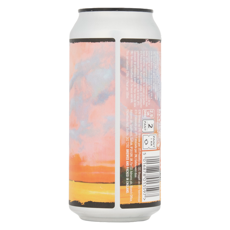 Adnams Big Skies Double Dry Hopped IPA, 440ml