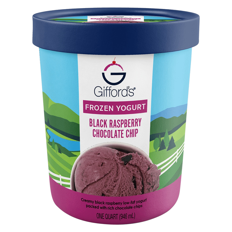 Gifford's Black Raspberry Chocolate Chip Frozen Yogurt 32oz