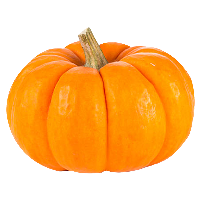 Mini Pumpkin (Orange or White) - 1ct