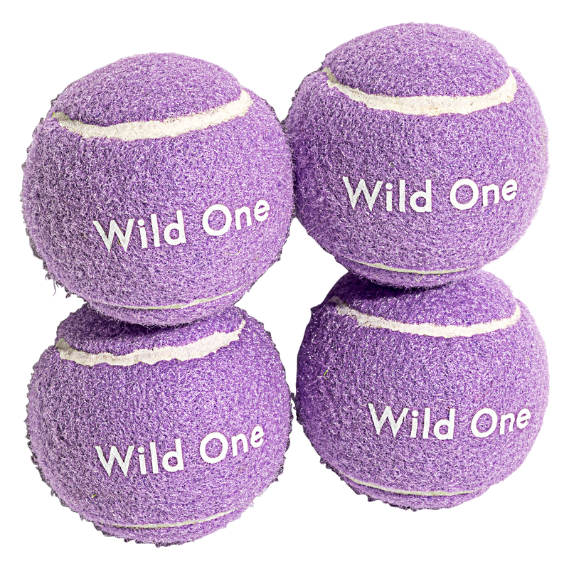 Wild One Lilac Tennis Ball 4pk