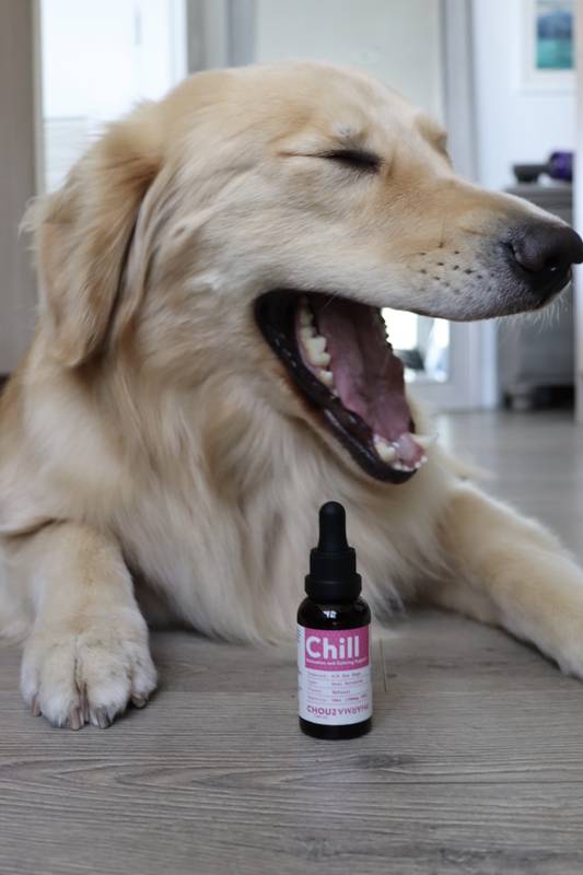Chou2 Pharma Chill Calming Oil for Dogs
