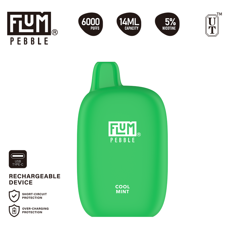 Flum Pebble Cool Mint Disposable Vape 6000 Puffs