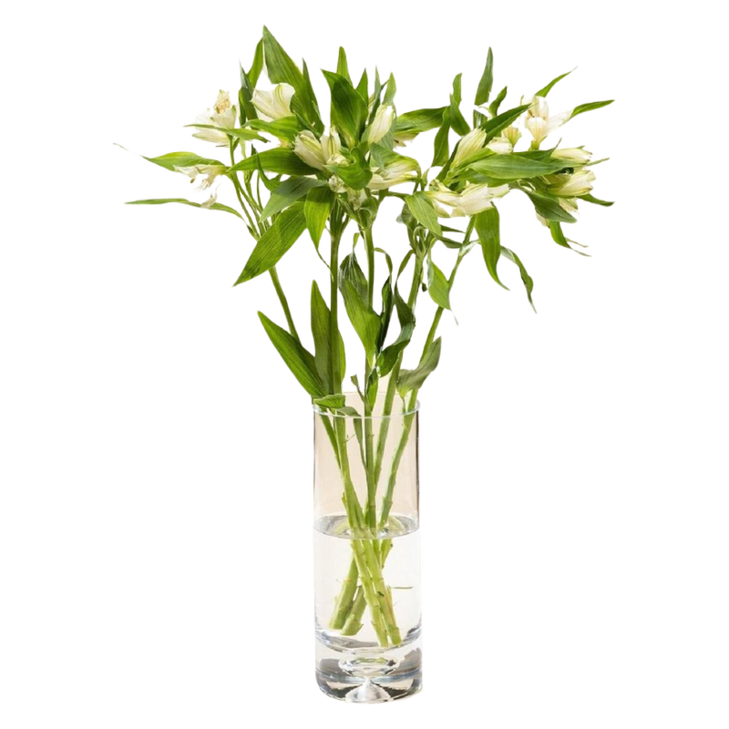 Morrisons Alstroemeria Flowers Bouquet, 1pcs