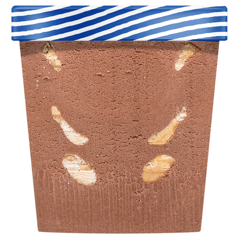 NadaMoo! Organic Chocolate Peanut Butter Dairy-Free Frozen Dessert 16oz