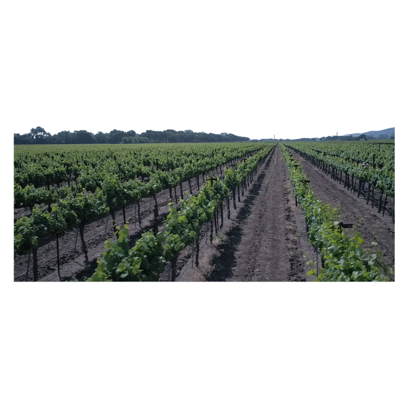 A by Acacia Pinot Noir 750ml