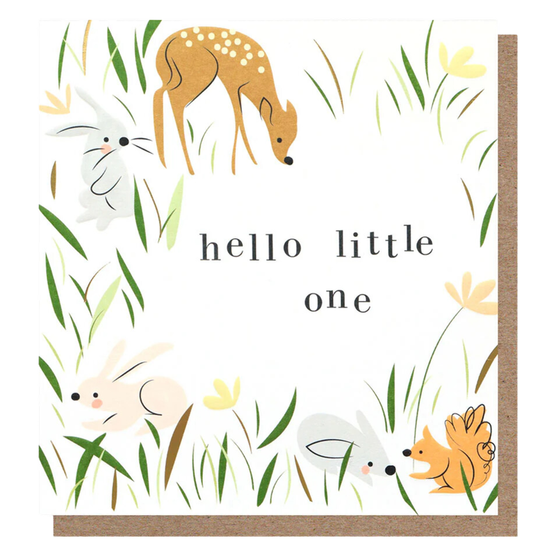 Caroline Gardner Hello Little One New Baby Card, 1pcs