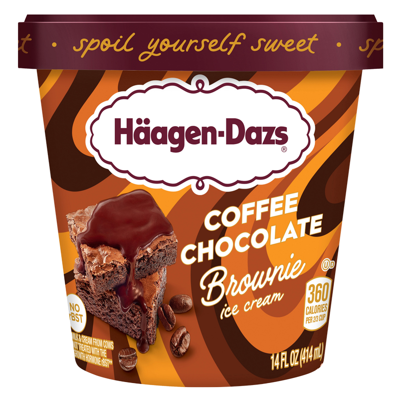 Haagen-Dazs Coffee Chocolate Brownie Ice Cream Pint 14oz