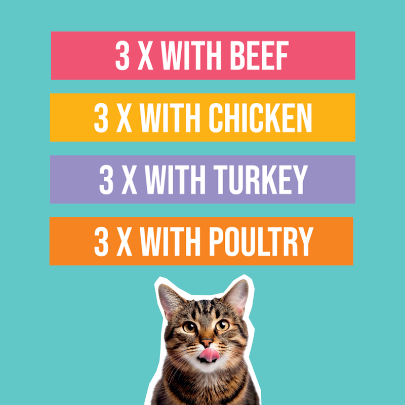 Morrisons Cat Food Meat Selection In Jelly, 12 x 100g