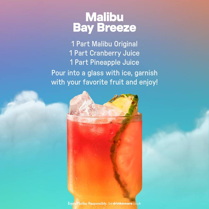 Malibu Coconut Flavored Rum 100ML