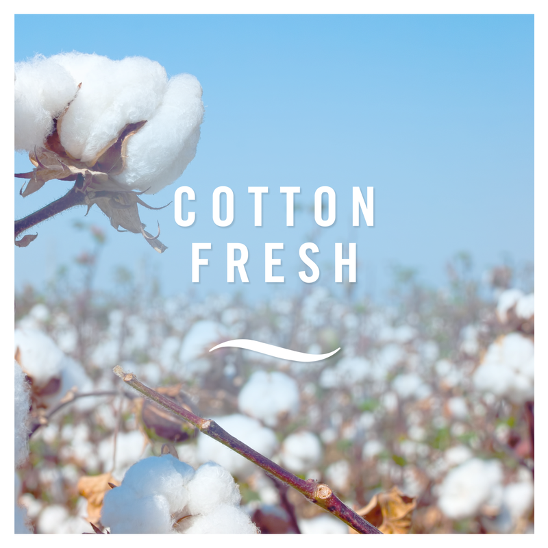 Febreze Cotton Fresh Air Freshener Spray, 185ml