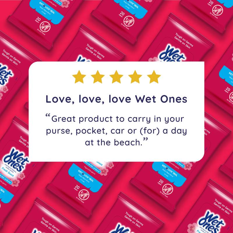 Wet Ones Fresh Scent Antibacterial Hand Wipes 20ct
