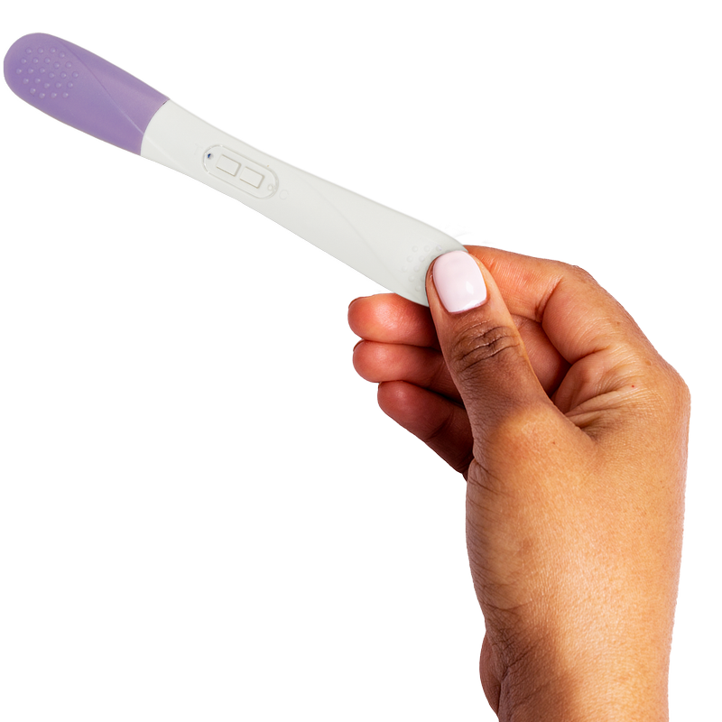 Winx Early Pregnancy Test 2ct