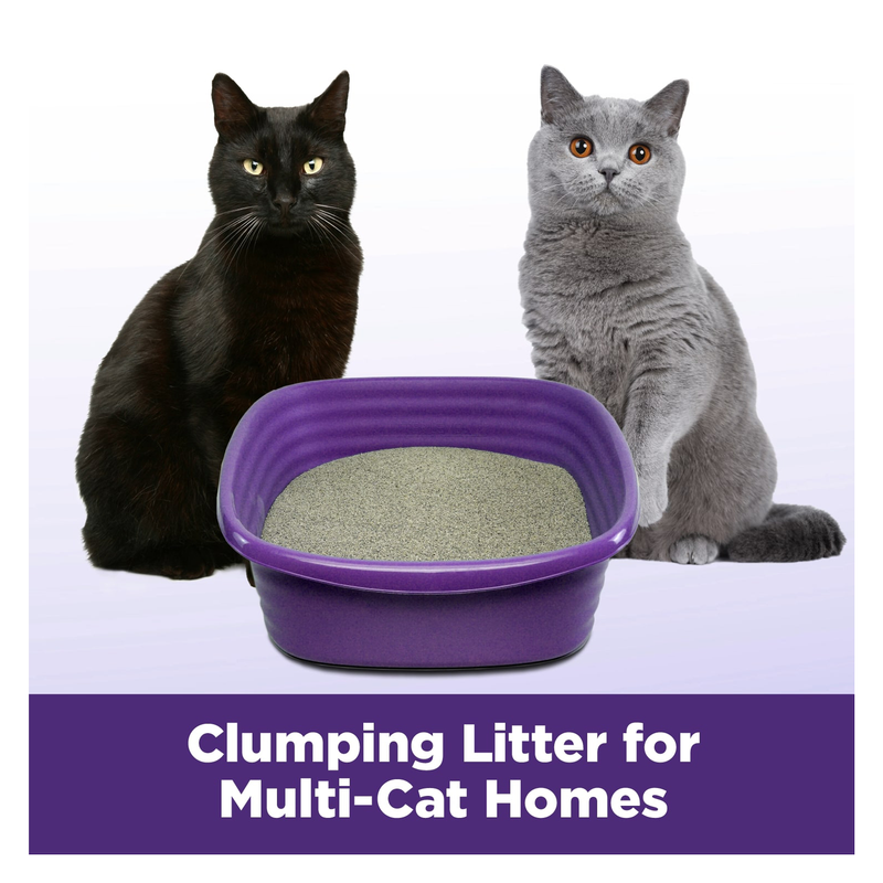 Arm & Hammer SLIDE Easy CleanUp MultiCat Clumping Cat Litter 19lb