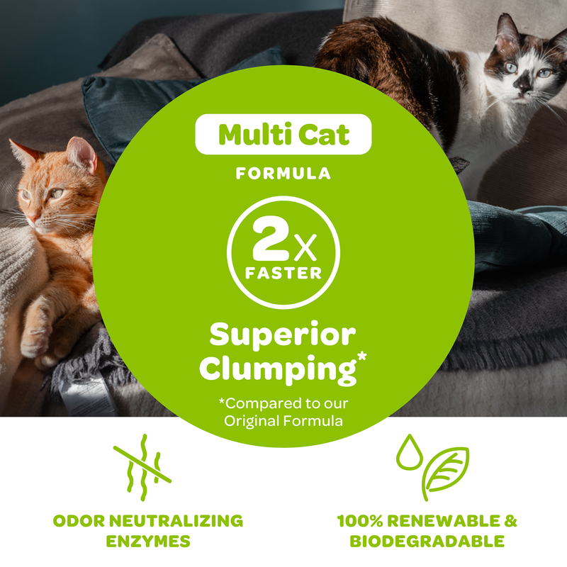 SwheatScoop Multi Cat Natural Cat Litter 15lb