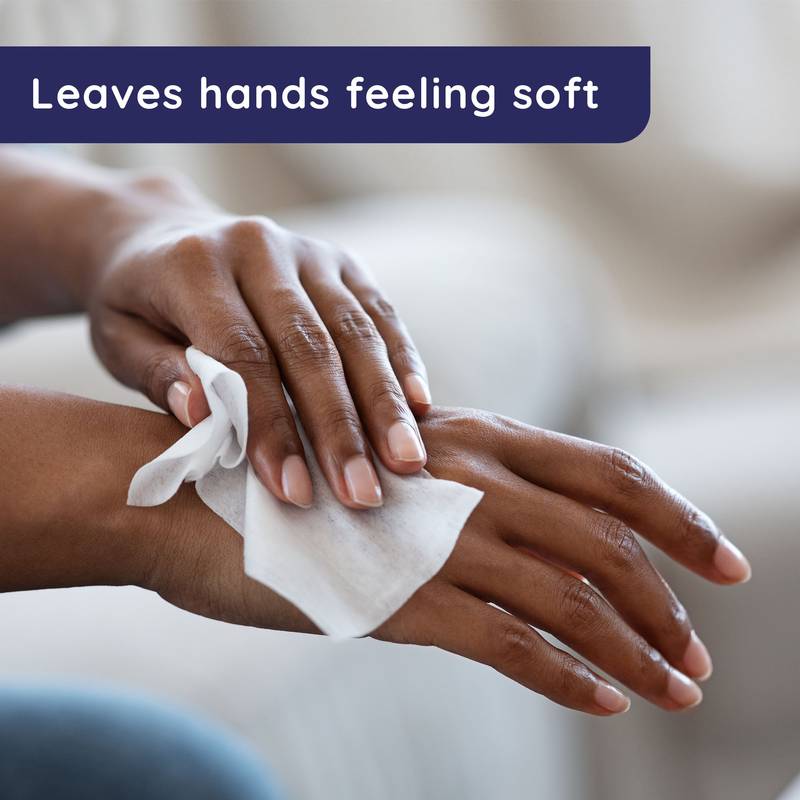 Wet Ones Fresh Scent Antibacterial Hand Wipes 20ct