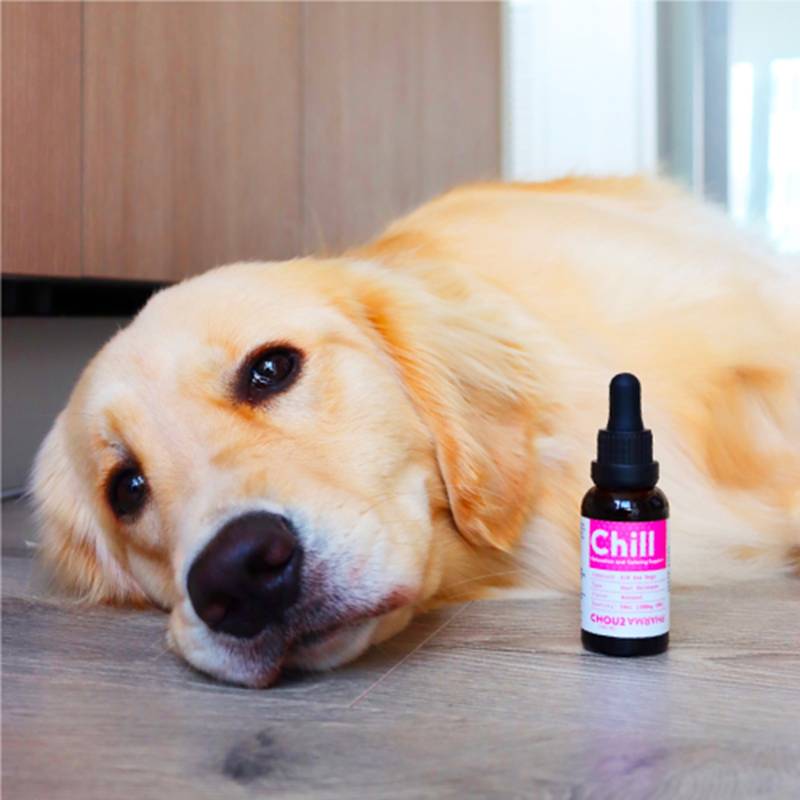 Chou2 Pharma Chill Calming Oil for Dogs