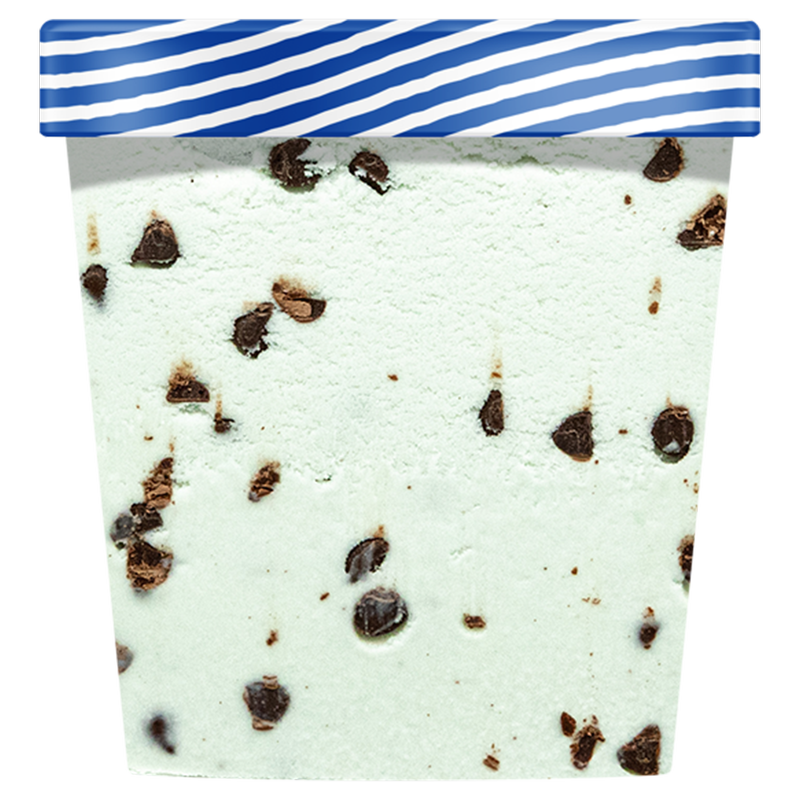 NadaMoo! Organic Mint Chip Dairy-Free Frozen Dessert 16oz