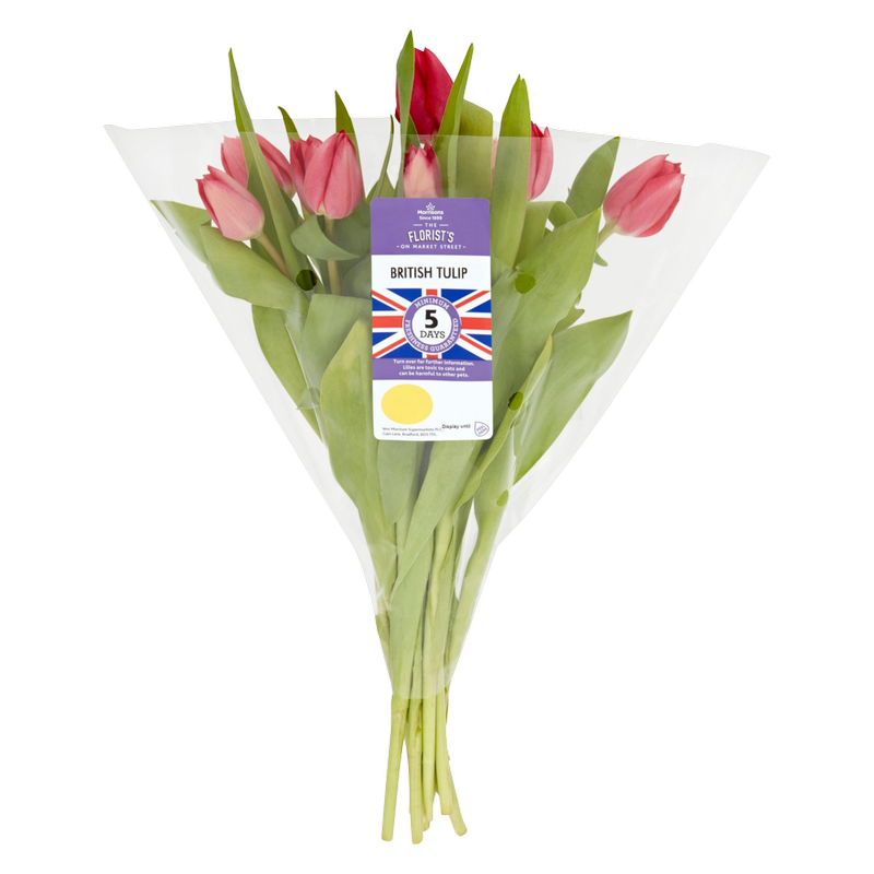 Morrisons British Tulip Bouquet, 1pcs