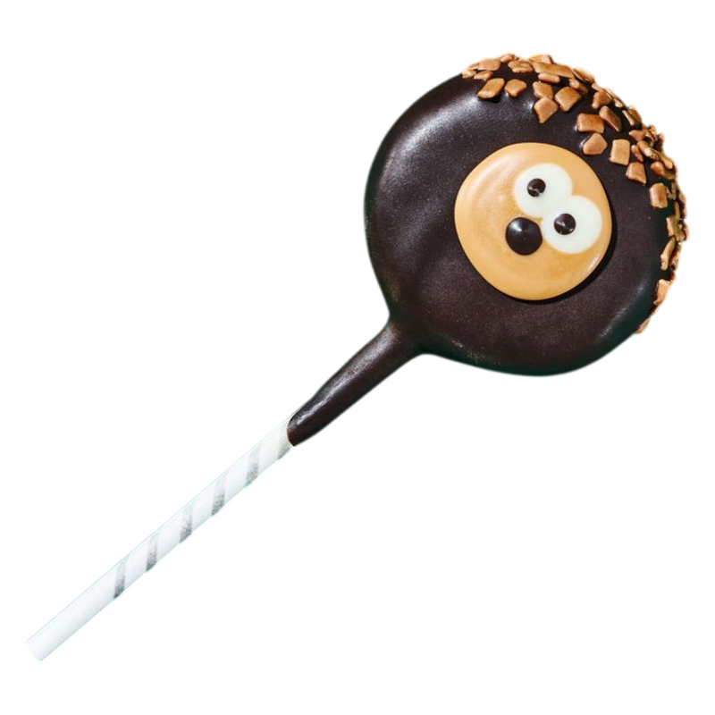  Hedgehog Cake Pop