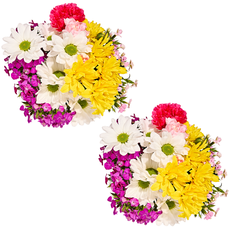 Mother's Day Carnations and Daisies Bouquet 2 ct